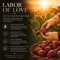 Person harvesting prickly pears with text about the labor and process of making true prickly pear oil.