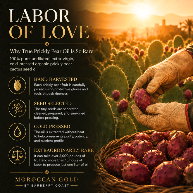 Moroccan Gold Serum - Prickly Pear Cactus Oil | Barberry Coast®