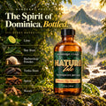 Barberry Coast Nature Isle Aftershave Splash in amber glass bottle against a lush Dominica rainforest landscape with mountains and waterfall. Featuring scent notes of lime, bay rum, barbershop powder, tonka bean, spices, and woods.