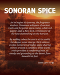 Desert landscape with Sonoran Spice fragrance story text overlay